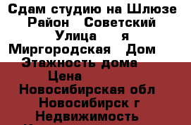Сдам студию на Шлюзе › Район ­ Советский › Улица ­ 2-я Миргородская › Дом ­ 7 › Этажность дома ­ 17 › Цена ­ 15 000 - Новосибирская обл., Новосибирск г. Недвижимость » Квартиры аренда   